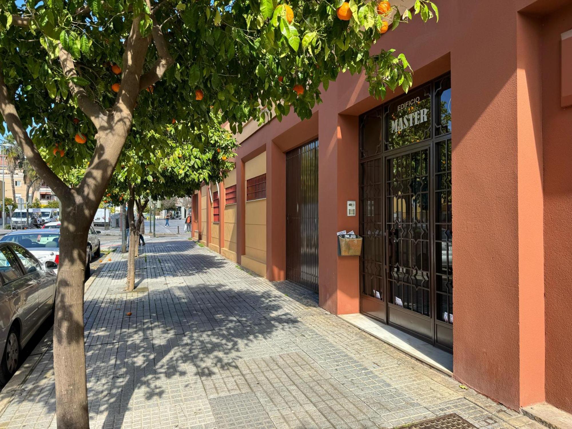 Apartamento Maria La Judia Córdoba Exteriör bild